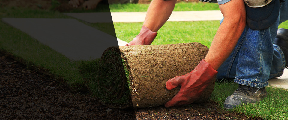 San Gabriel Landscapers